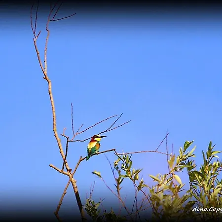 Bed & Breakfast La Luce Della Luna