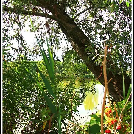 La Luce Della Luna Отель типа 