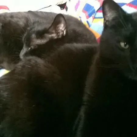 La Luce Della Luna *