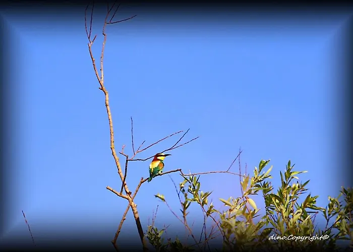 Bed & Breakfast La Luce Della Luna