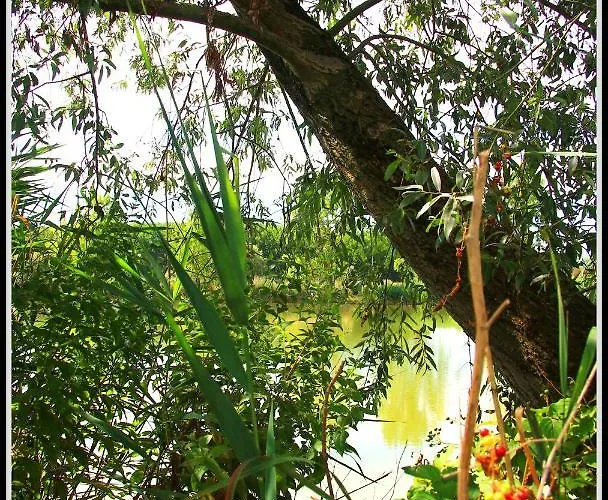 La Luce Della Luna Bed & Breakfast *