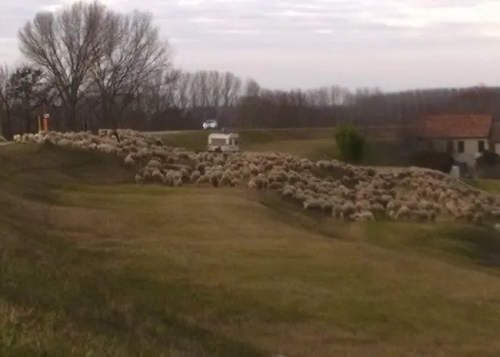 La Luce Della Luna فندق مبيت وإفطار