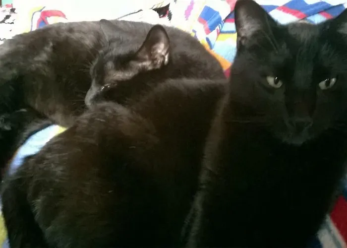 La Luce Della Luna *